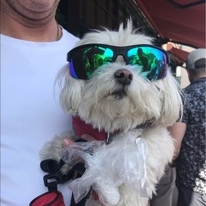 Meet your Posher, Lynn